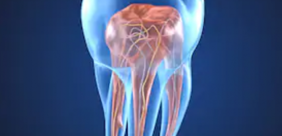 Endodontics Enriched – What could I be doing better?